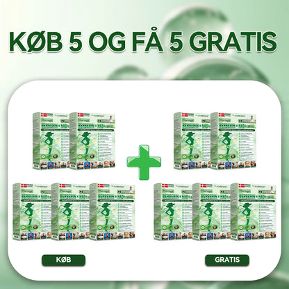 🔥 Kun 10 æsker tilbage! 30% ekstra rabat. GLORENDA® Moringa · Berberin × NAD+ Advanced 10-i-1-komponent: sikker, testet og effektiv til vægt, glukose, fordøjelse og energi.