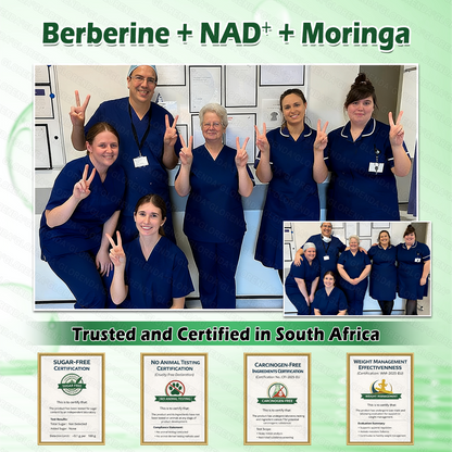 🔥 Only 10 boxes left! Get 30% off! GLORENDA® Moringa · Berberine × NAD+ 10-in-1 Patch is doctor-tested and proven safe — just 4–6 patches support weight, blood sugar, digestion, and energy with lasting results!