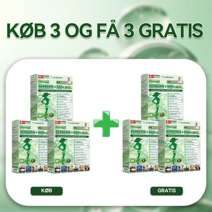 🔥 Kun 10 æsker tilbage! 30% ekstra rabat. GLORENDA® Moringa · Berberin × NAD+ Advanced 10-i-1-komponent: sikker, testet og effektiv til vægt, glukose, fordøjelse og energi.